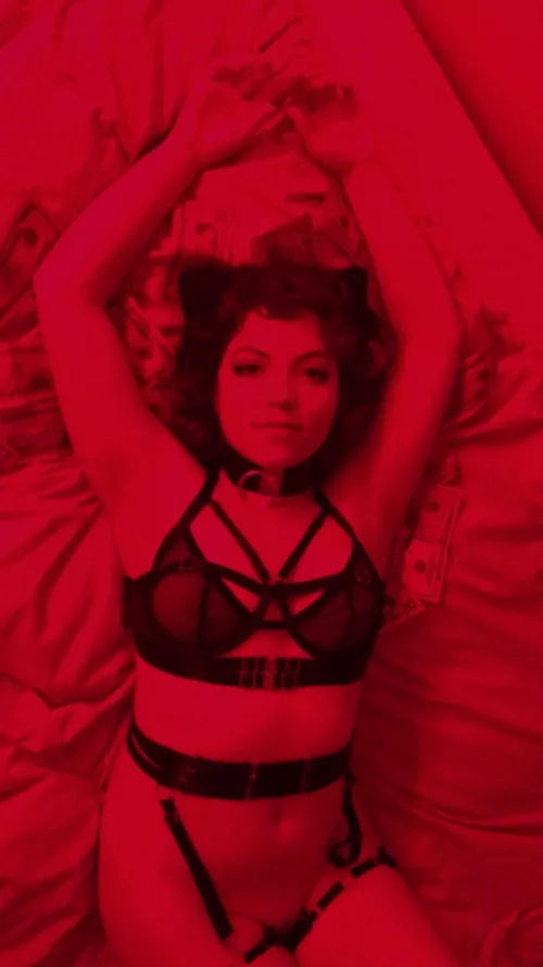 Would you give this kitty you milk?