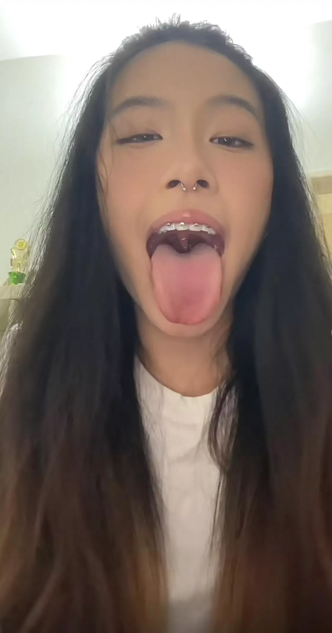 Would you stuff it in