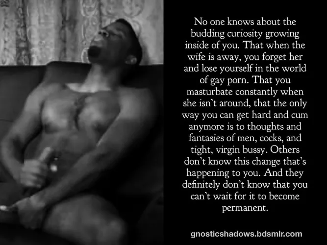 Your Budding Curiosity