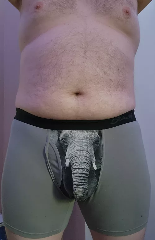 An elephant never something something...