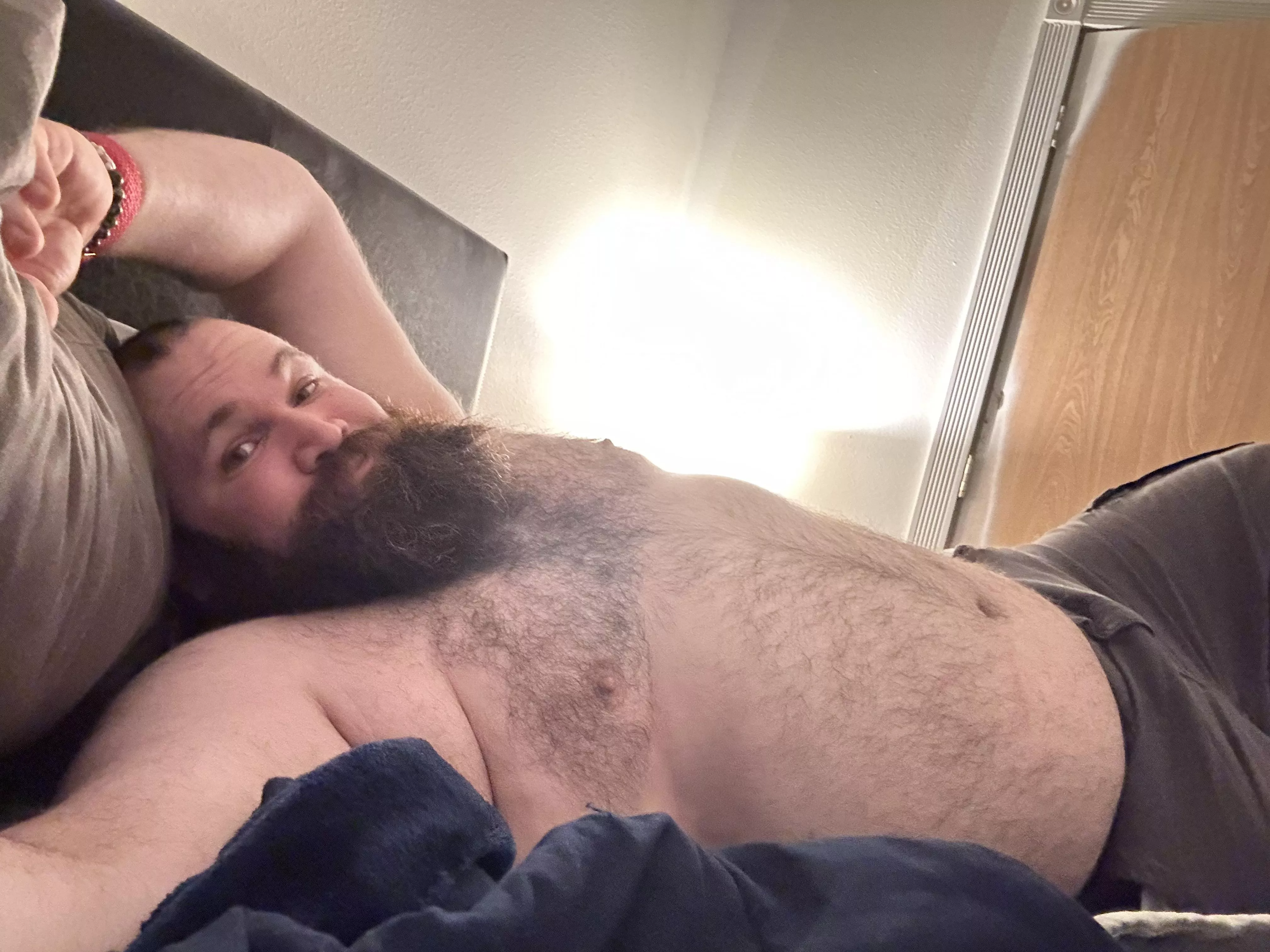 Bearded bear hanging out
