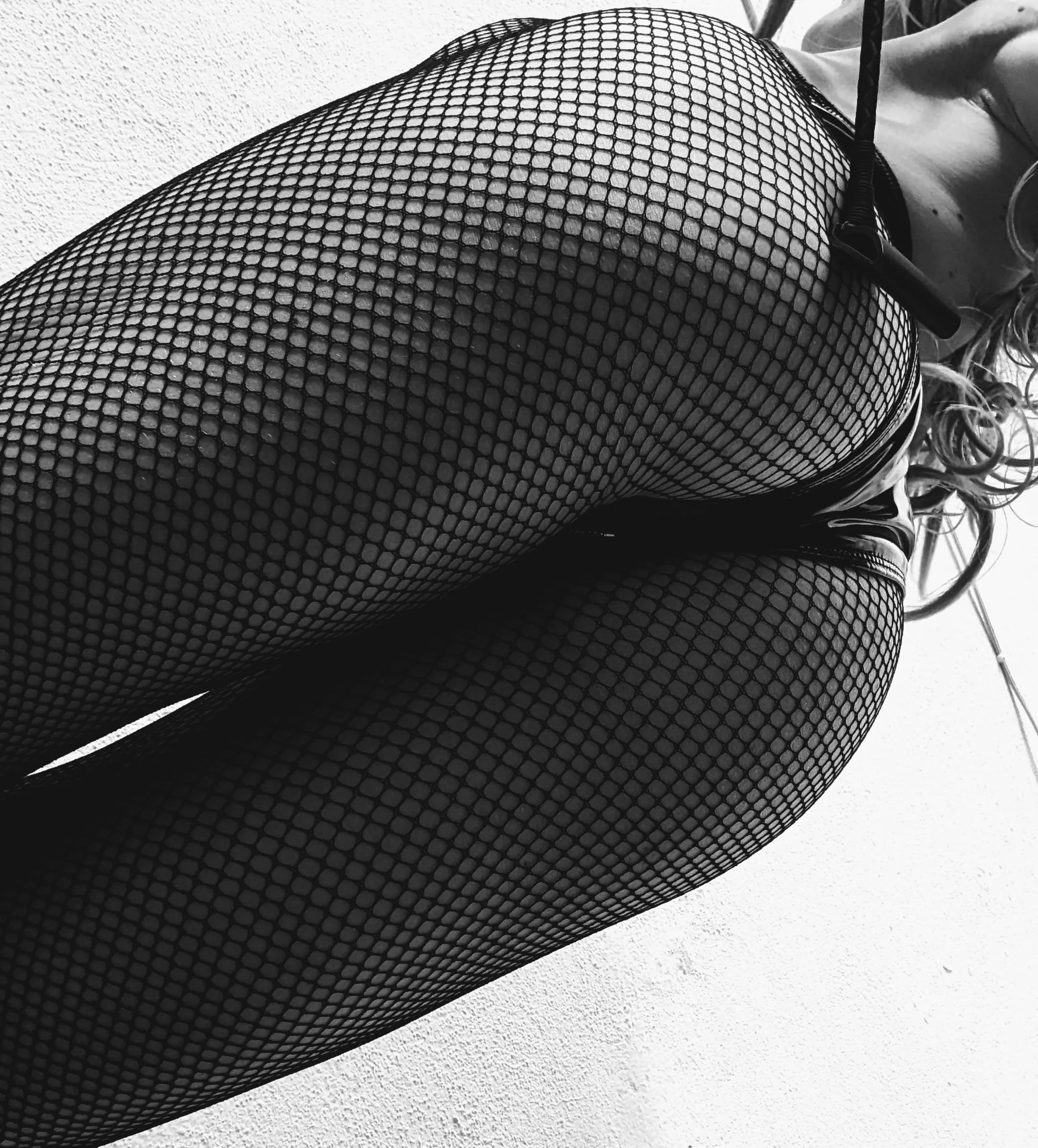 Fishnets