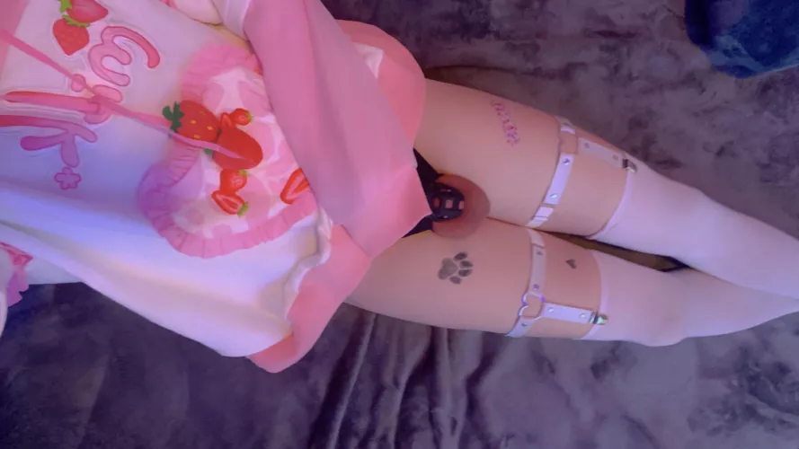 had to join all the caged cuties i keep seeing on my feed