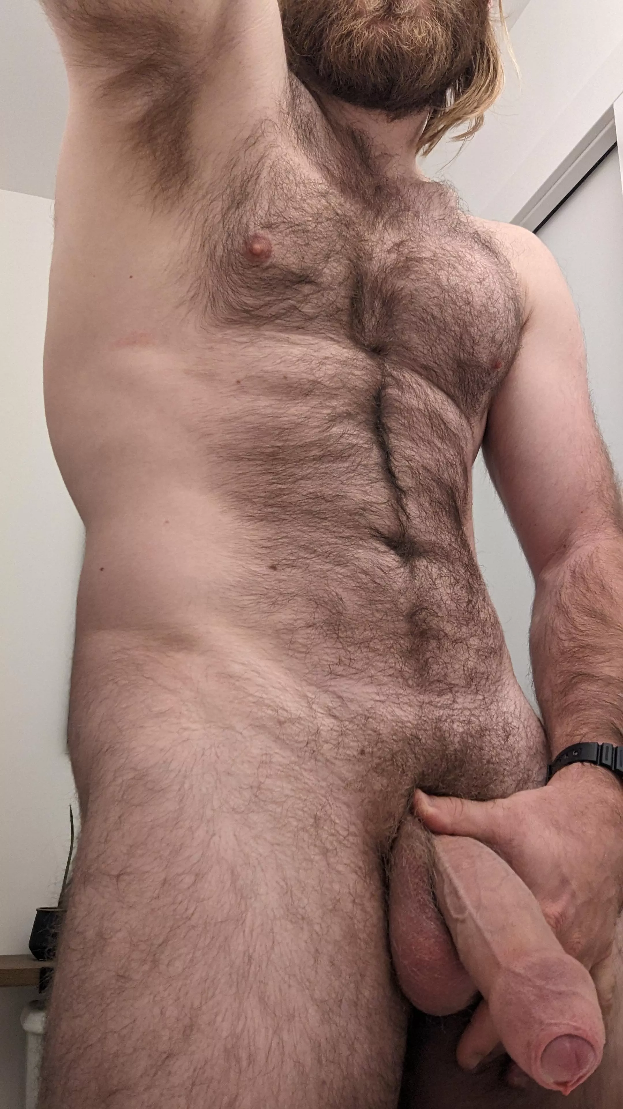 Hairy all over, do you still want to suck it?
