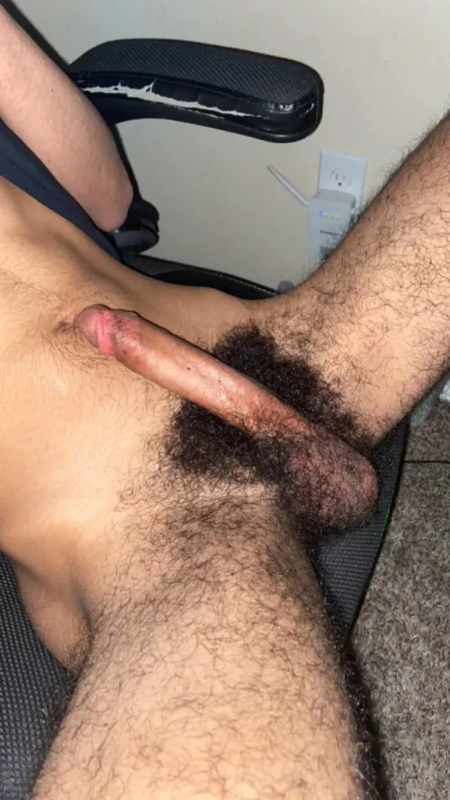 hairy gaymer dick