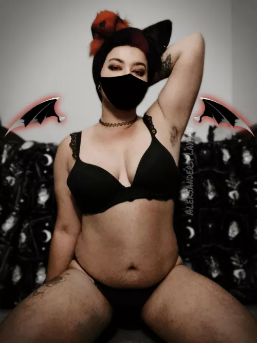 Incubus pup ready to play