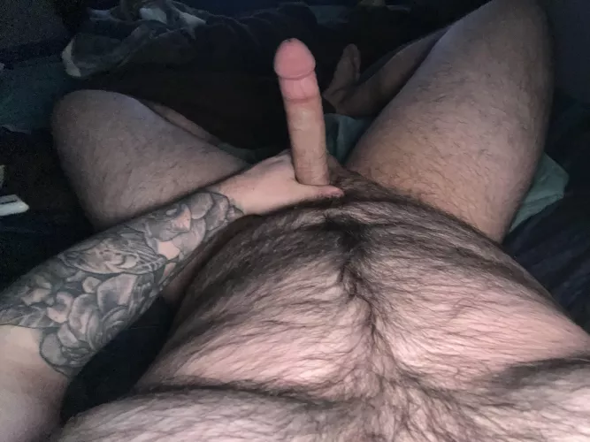 Just your average chubby texan