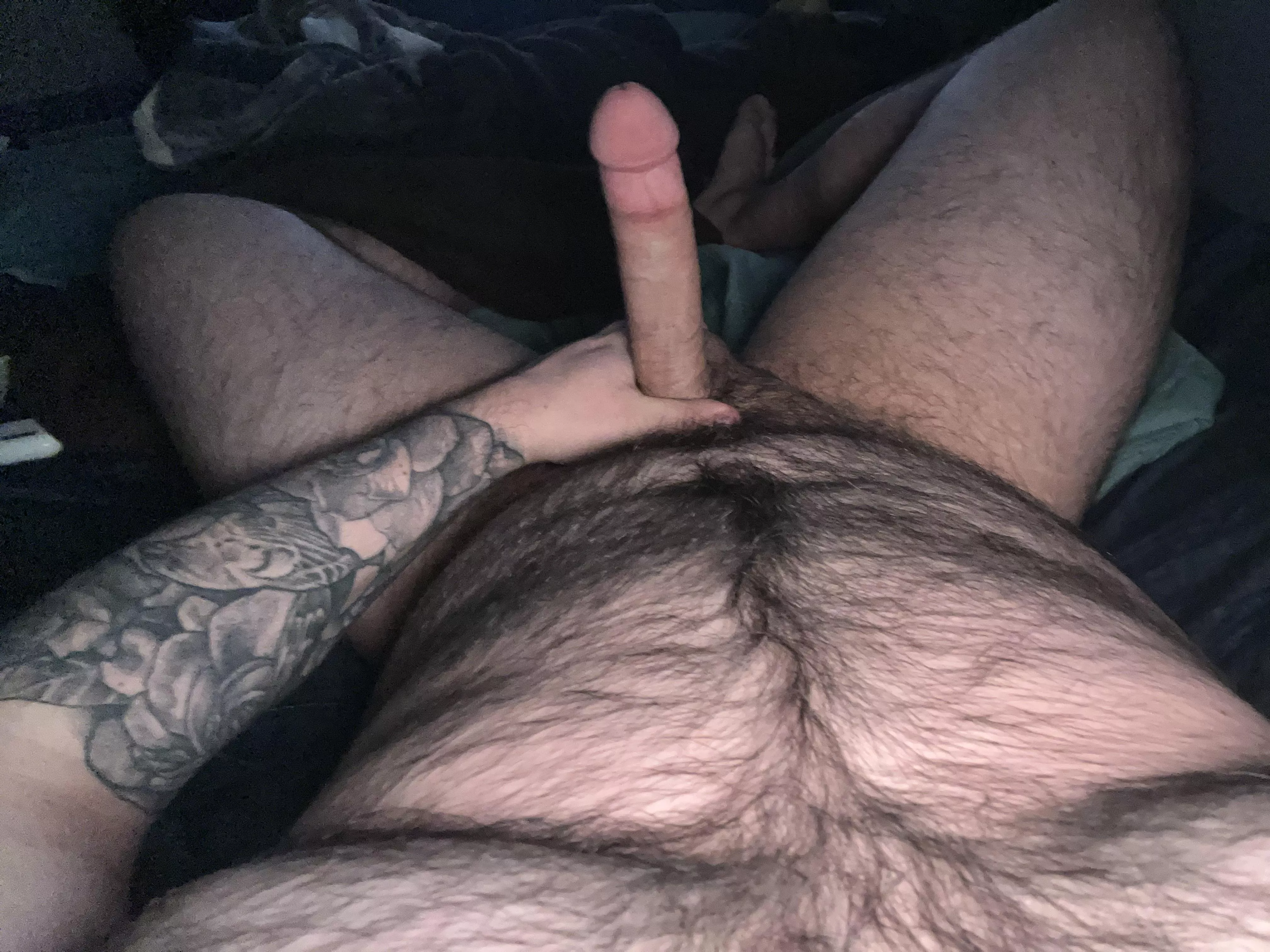 Just your average chubby texan