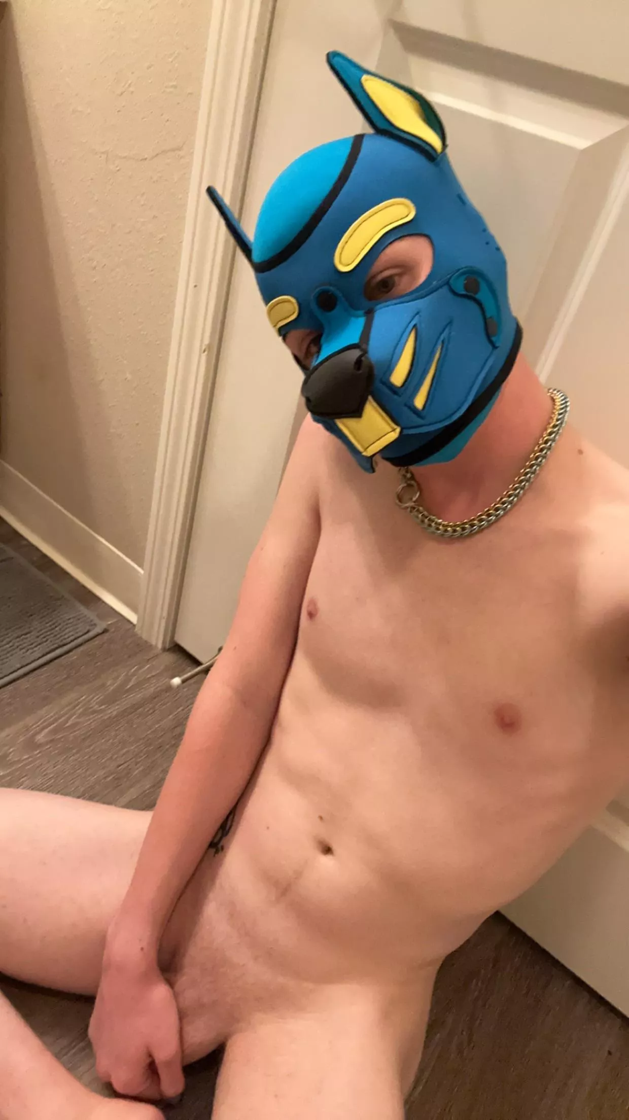 Puppy says Hewwo 🐾