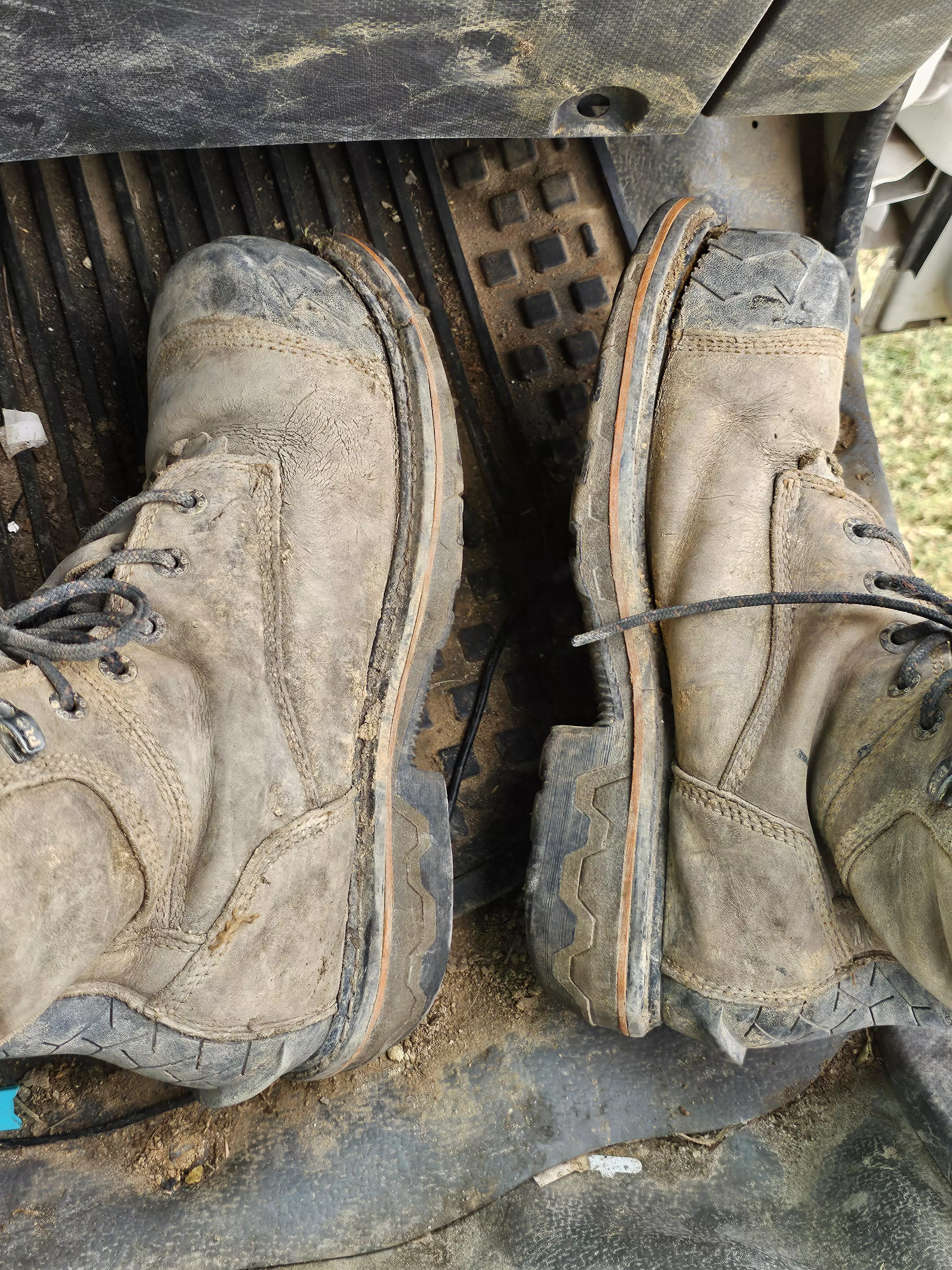 They're only a few months old so they should last me another few years right