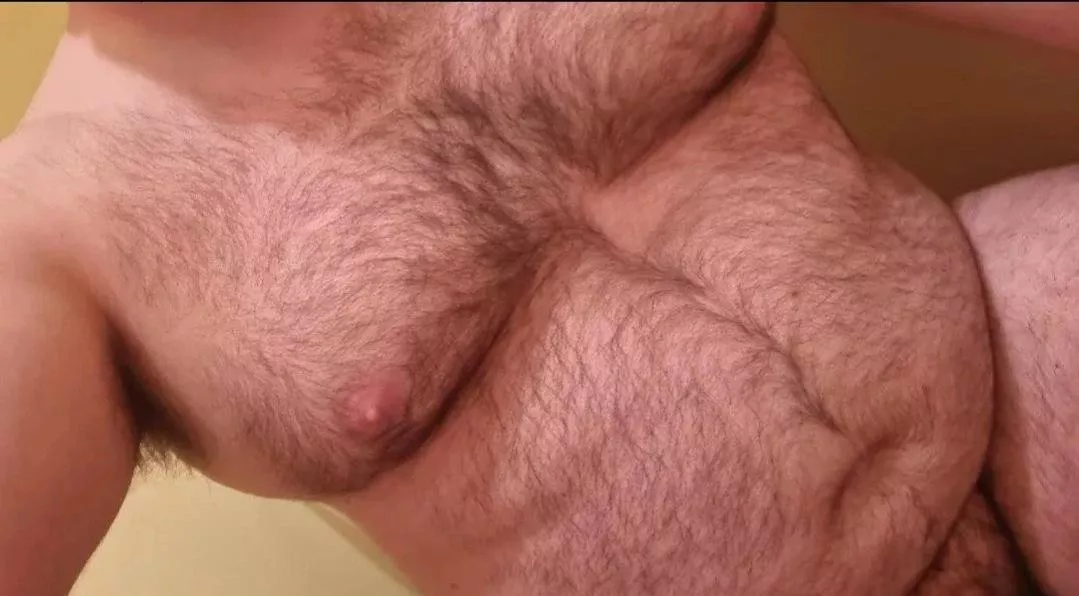 Anyone want to chat?