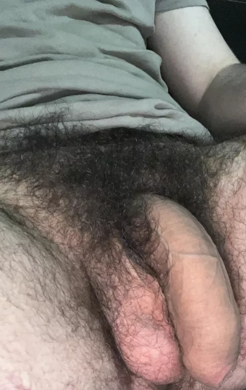 Can you handle my big wild bush?😏🍆Dms open😈