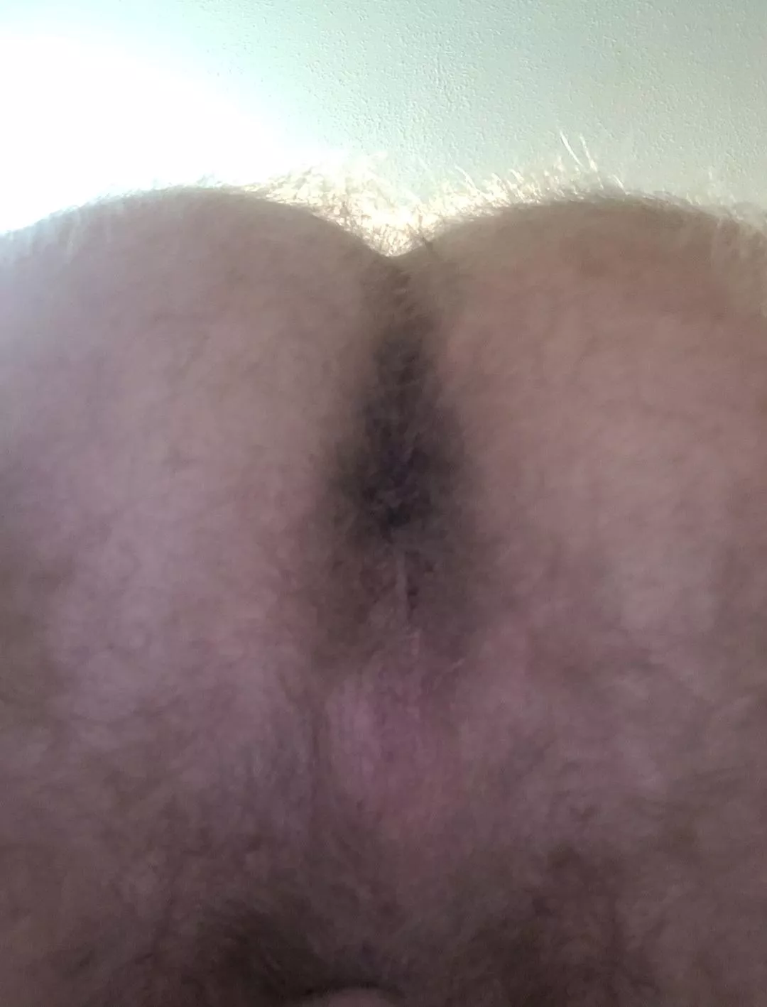 Dad of two. Anyone like hairy dad ass?