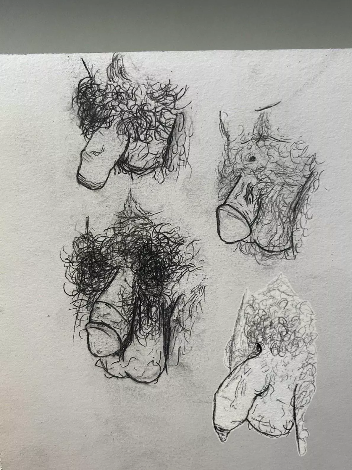 Drawing some dicks for Father’s Day (here)! [51], [53], [21], [47]