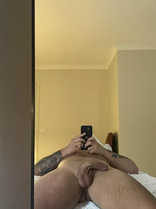 I give you a choice balls or cock. Which are you sucking?