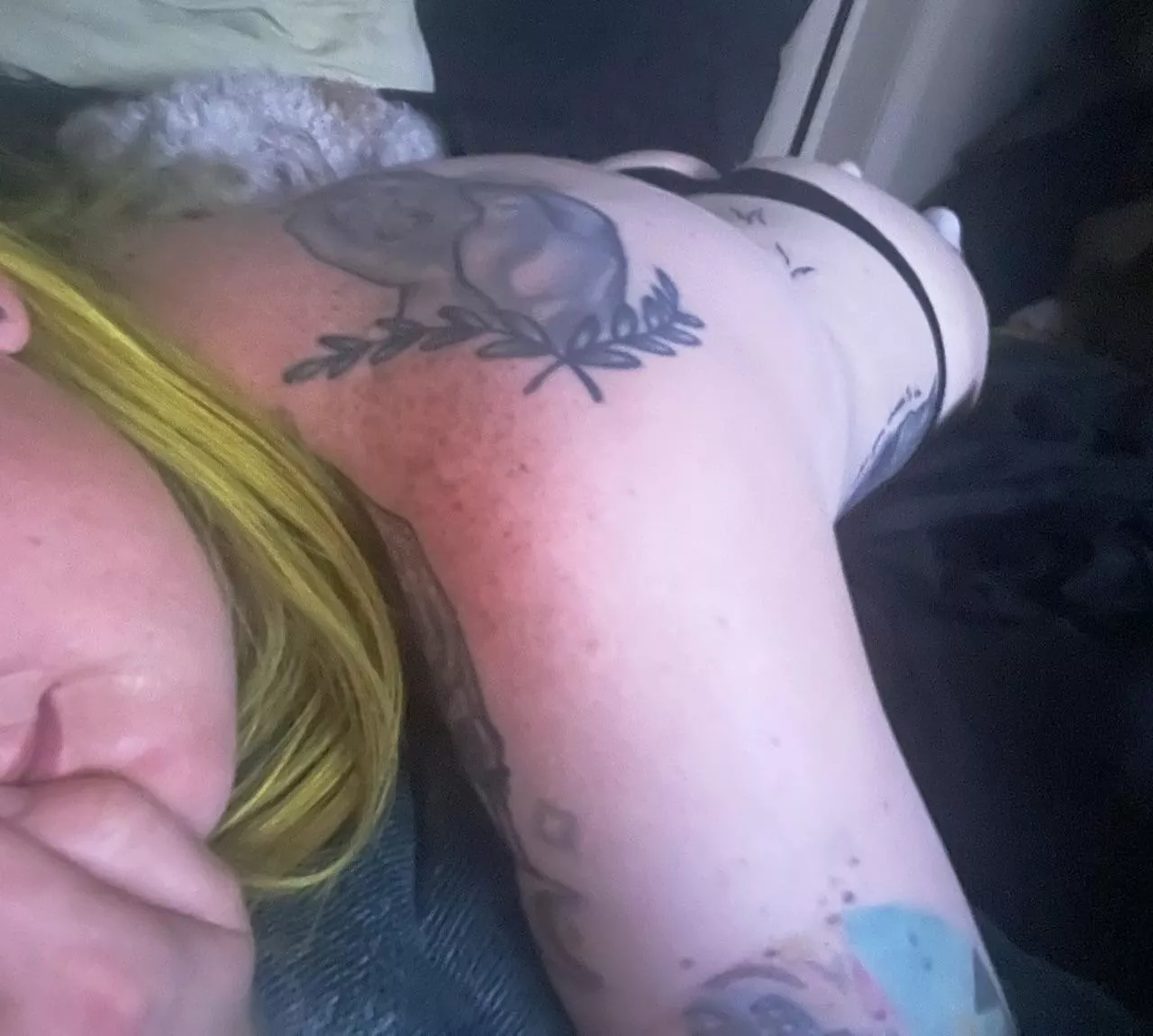 If you were my roommate…what you do if you found me like this 😇