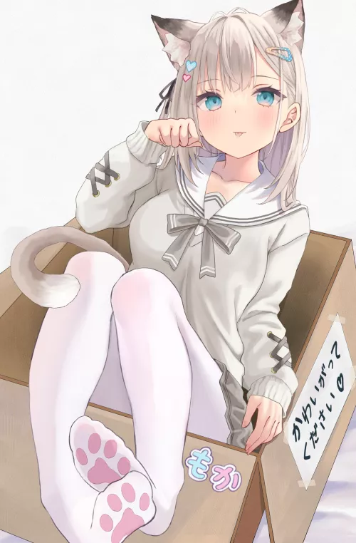 Kitty in a box (akino ell)