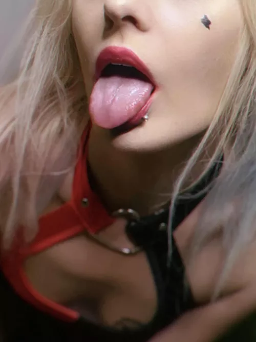 My Harley Quinn cosplay