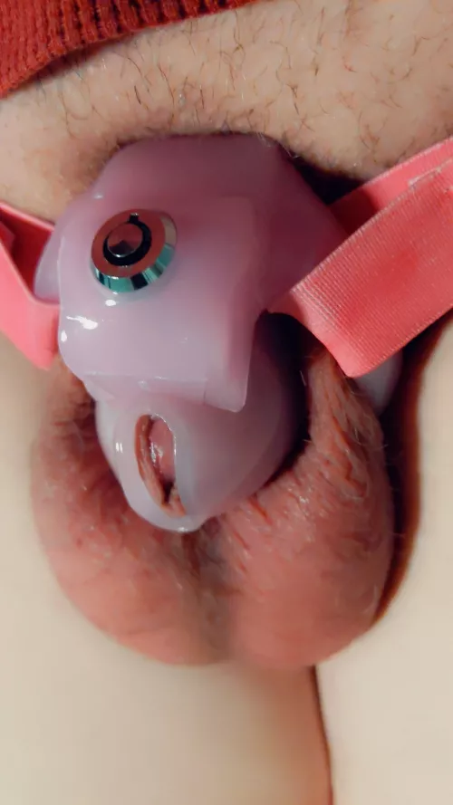 My smallest cage yet! Would you cover it in cum?