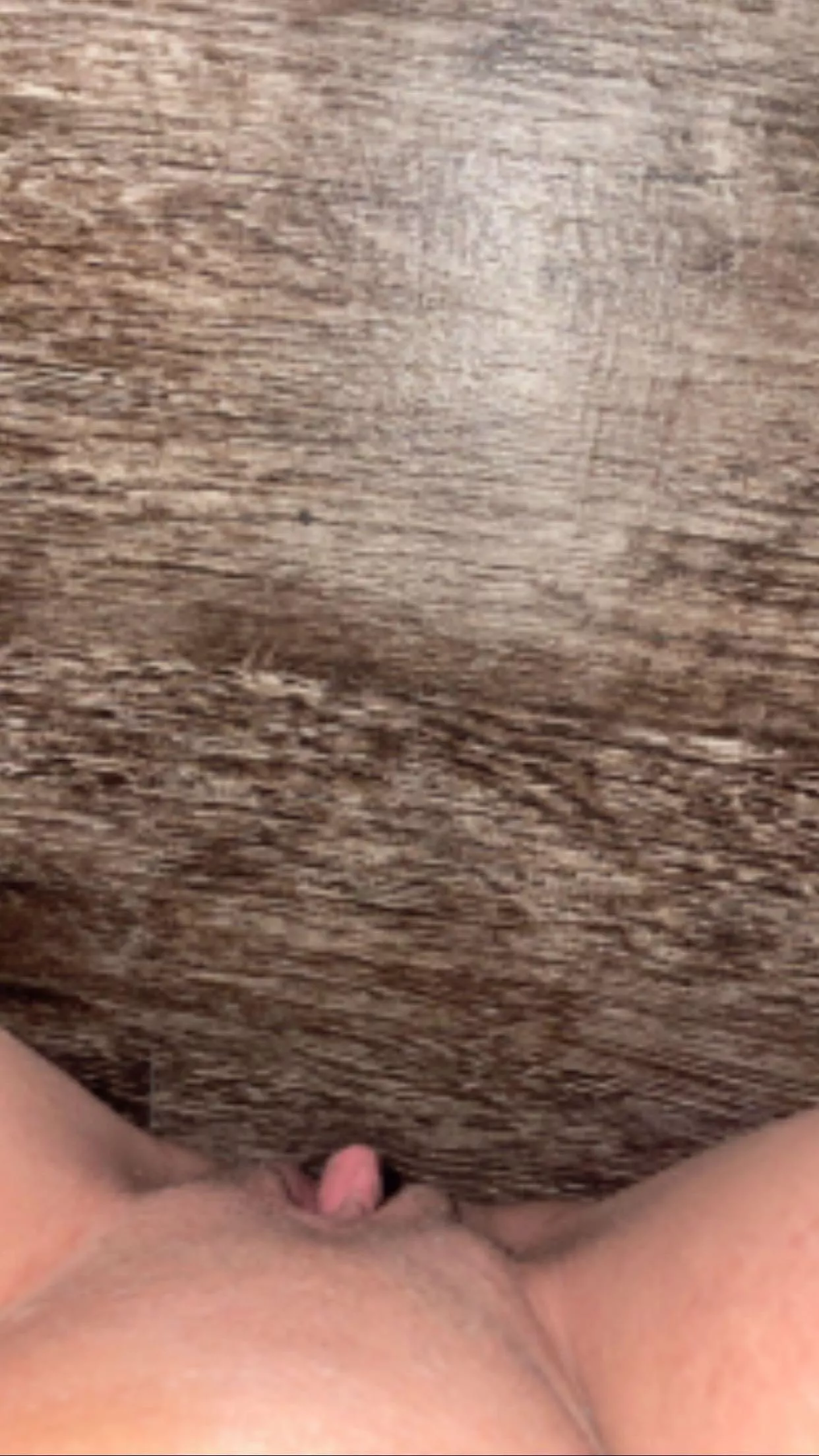 one of my fav pics of it