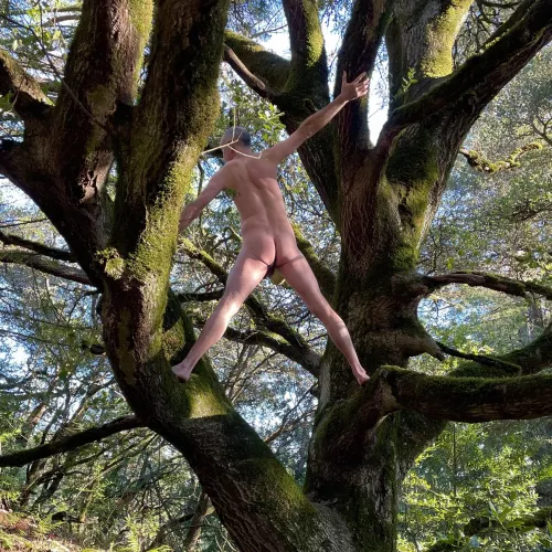 🌳 Tree Pose Tuesday! 🌳