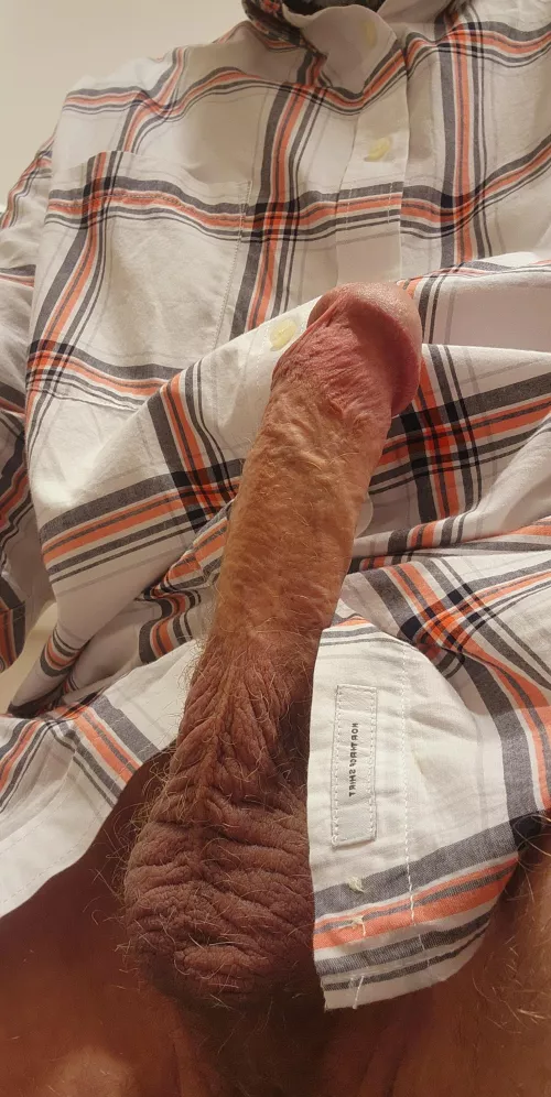 [55] Daddy wants to feel your tongue on his head.