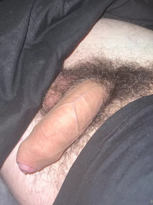 Am I too hairy for you? (Pic after cumshot) 😏🍆Dms open😈