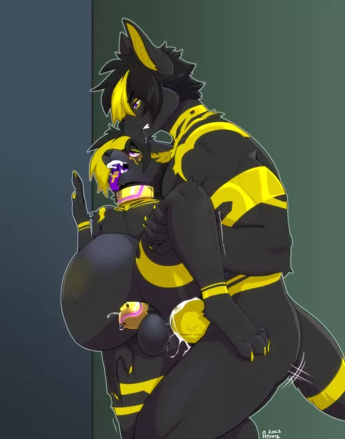 Caged and filled (Anixis)