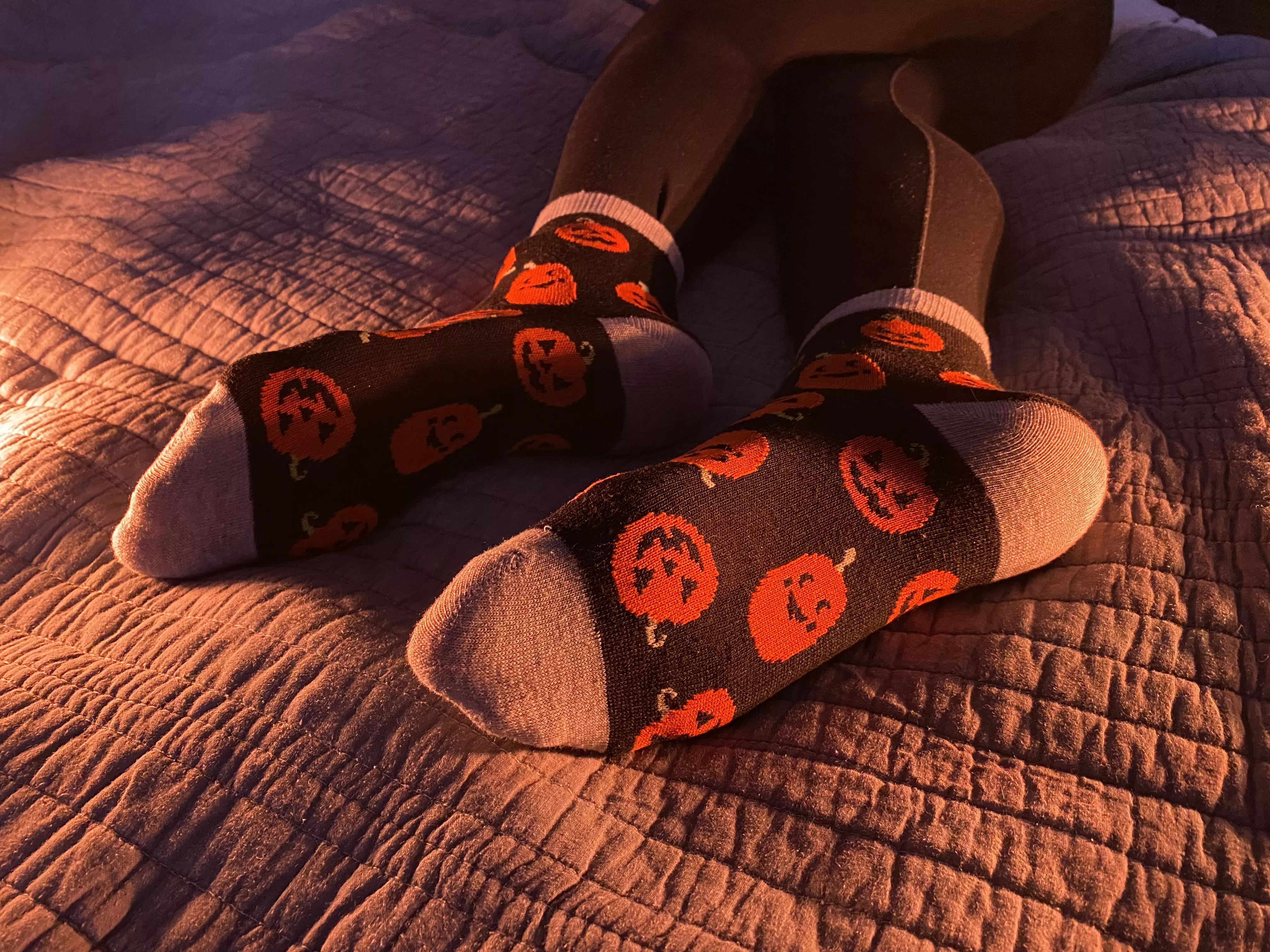 I love seasonal socks...can't wait to try on new pair of halloween socks tomorrow