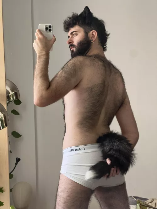 I wanted to be a werewolf for Halloween… need a plan B