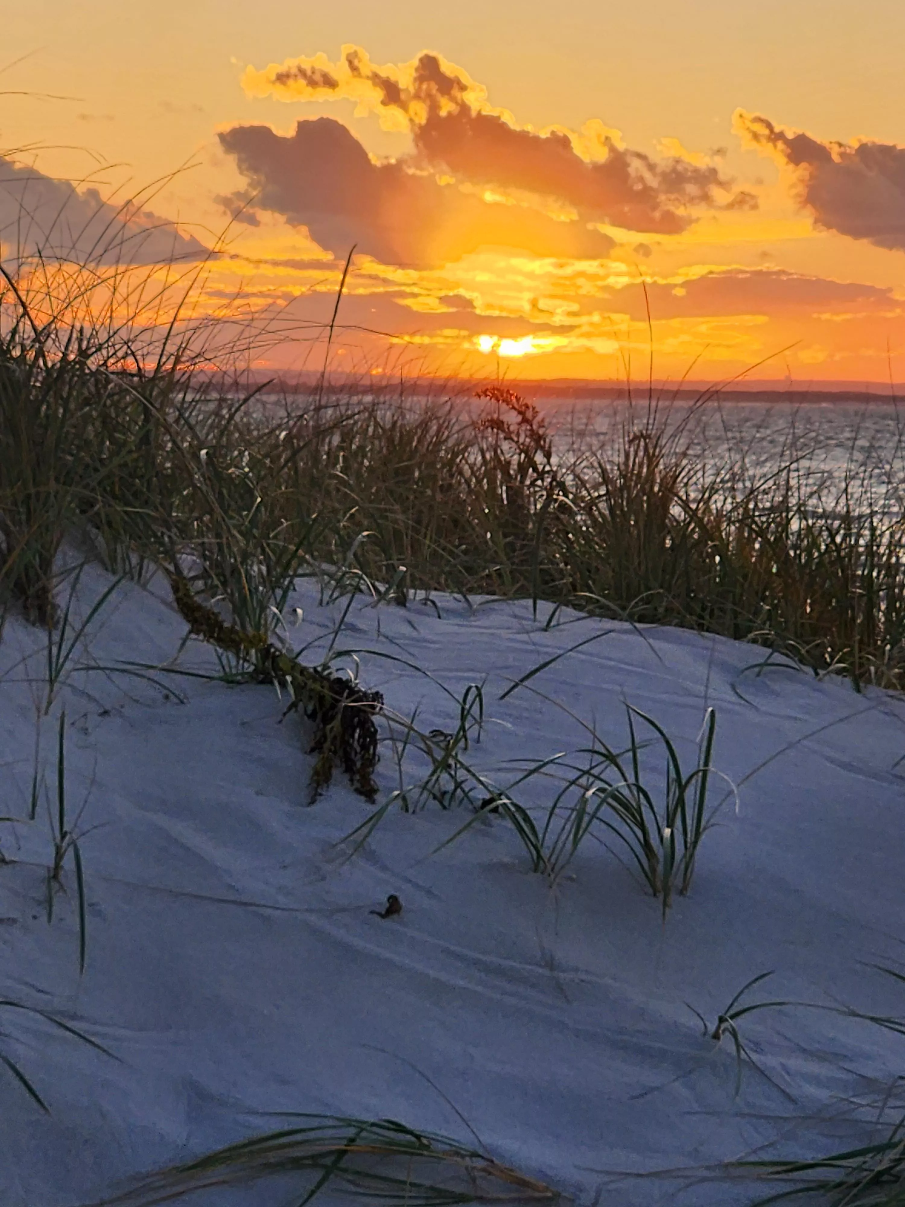 More Cape Cod sunset