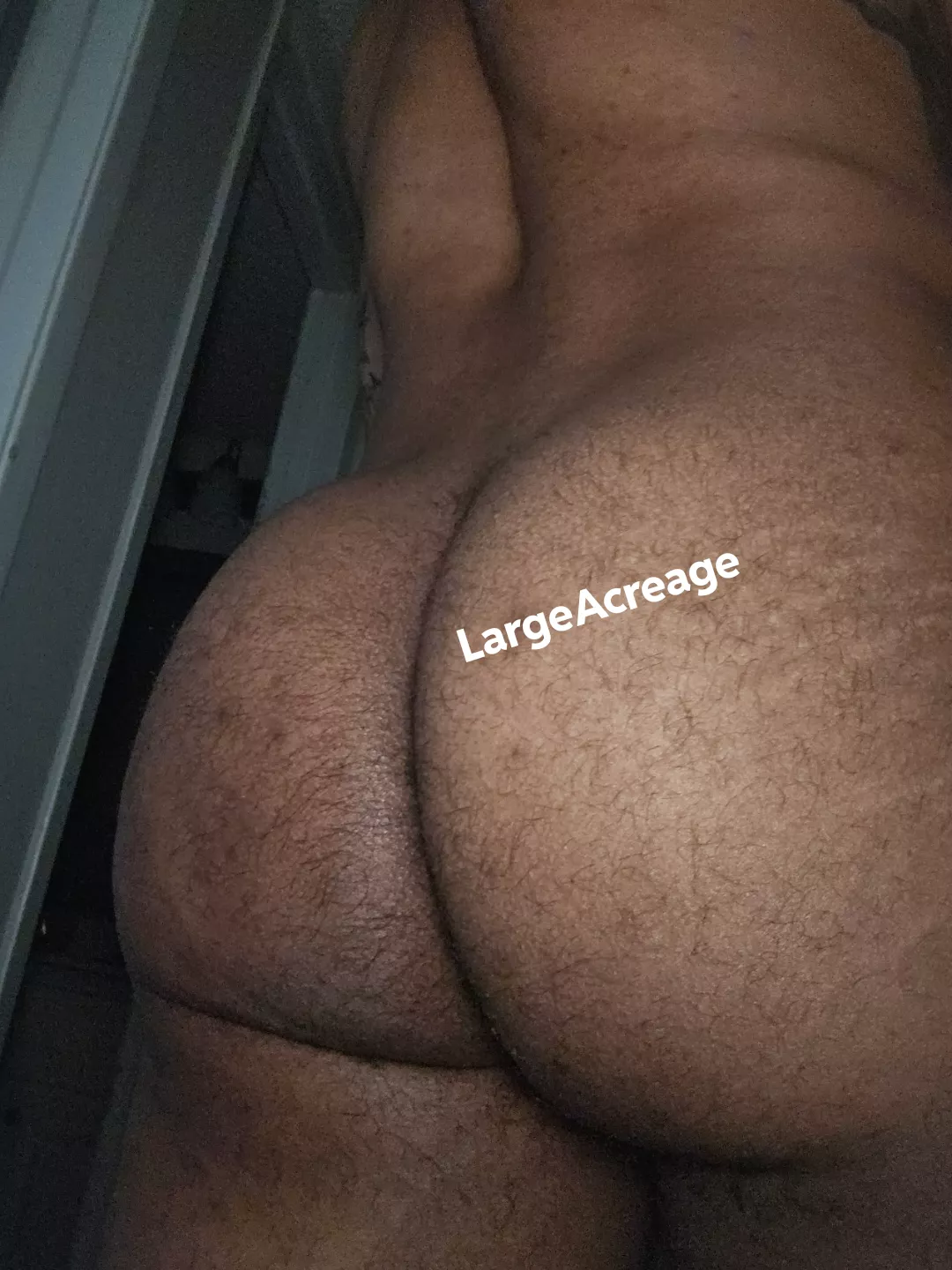 Mr. Fat Booty
