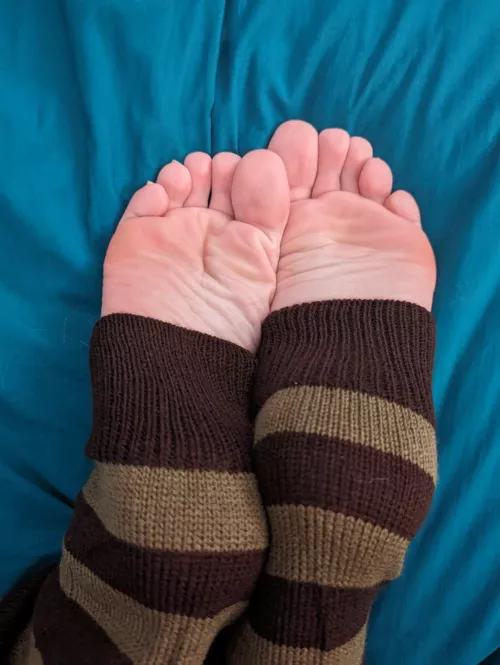 Say hi to my stirrups :3