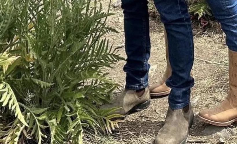 What Brand of Chelsea’s Are These