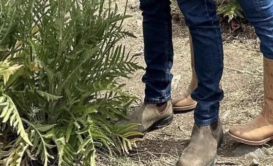 What Brand of Chelsea’s Are These