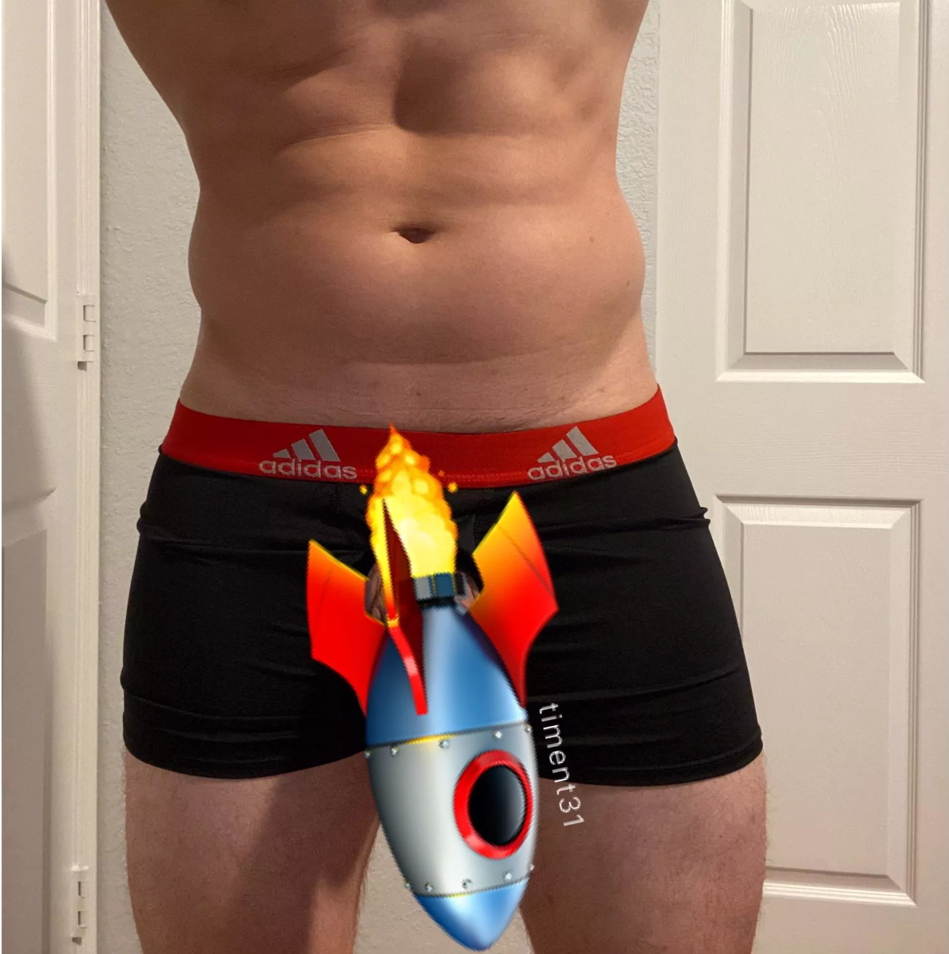 31 M Well hung fit bull visiting NYC next week and can host