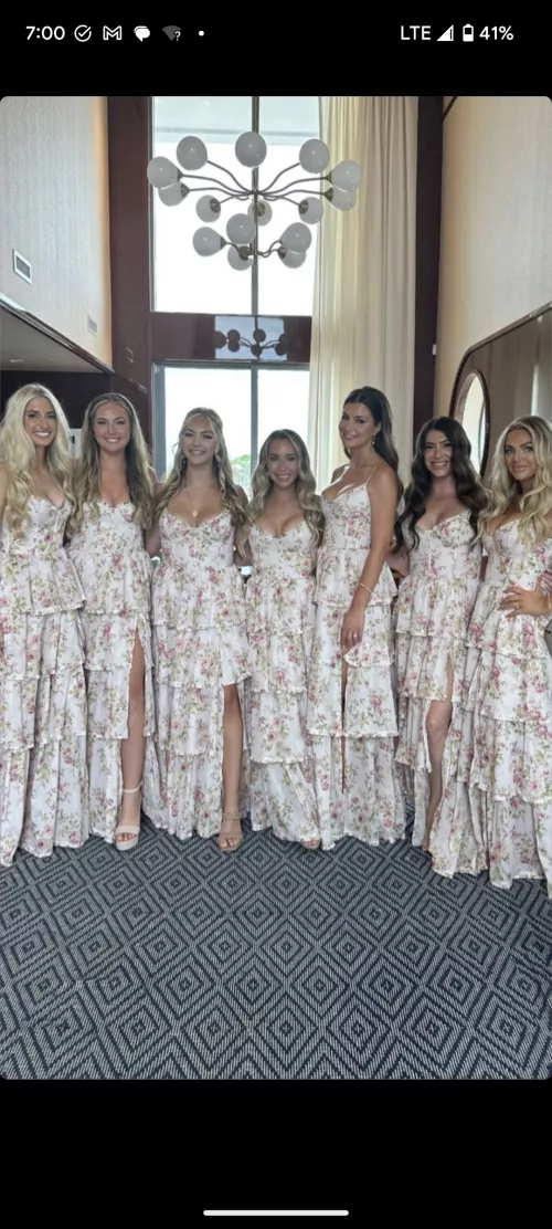 [7] sexy bridesmaids