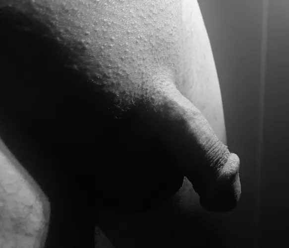 An early morning glimpse