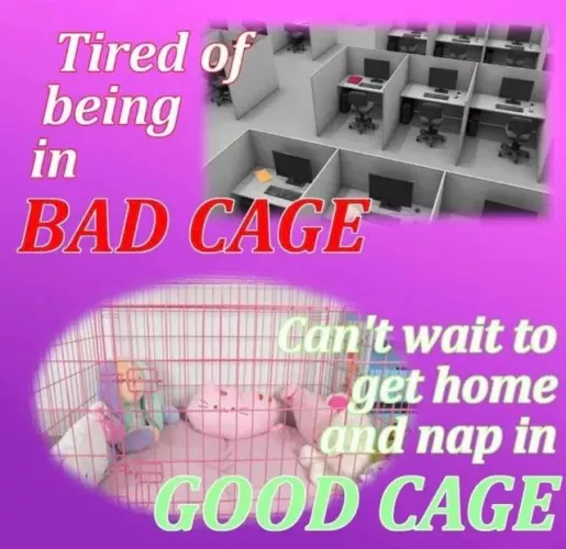 Anyone wanna provide? I promise I’ll be good