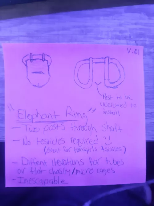 Did I just revolutionize chastity forever? Or am I getting ahead of myself?