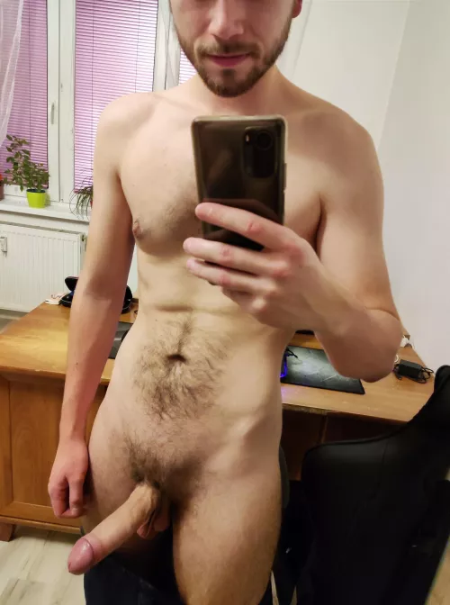 European cock to bless your feed.