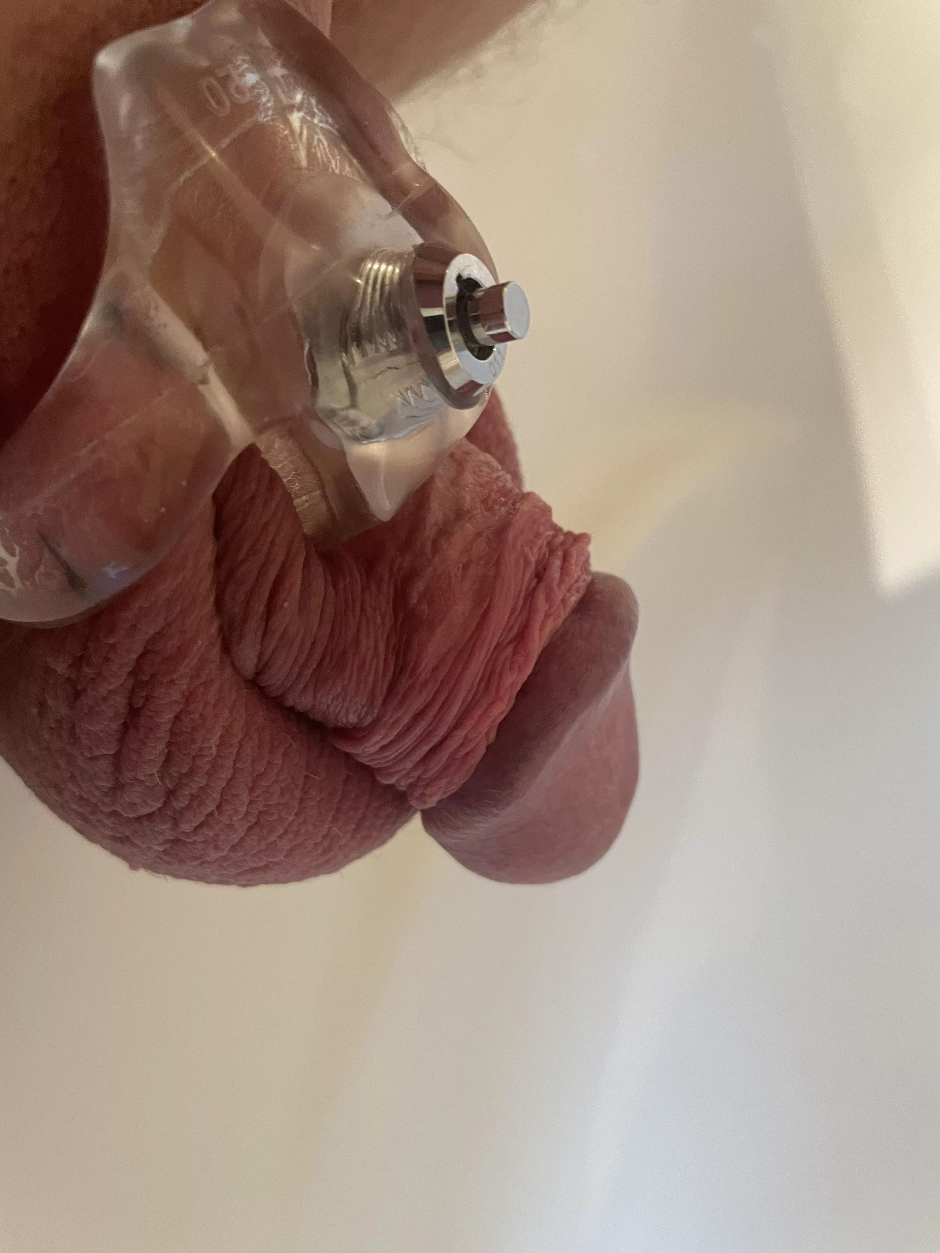 Small cocks have to be caged, have to be humiliated, have to be submissive and only opened for hygiene😊