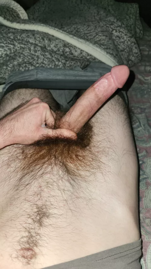 29 snap - steveo-whiteboy