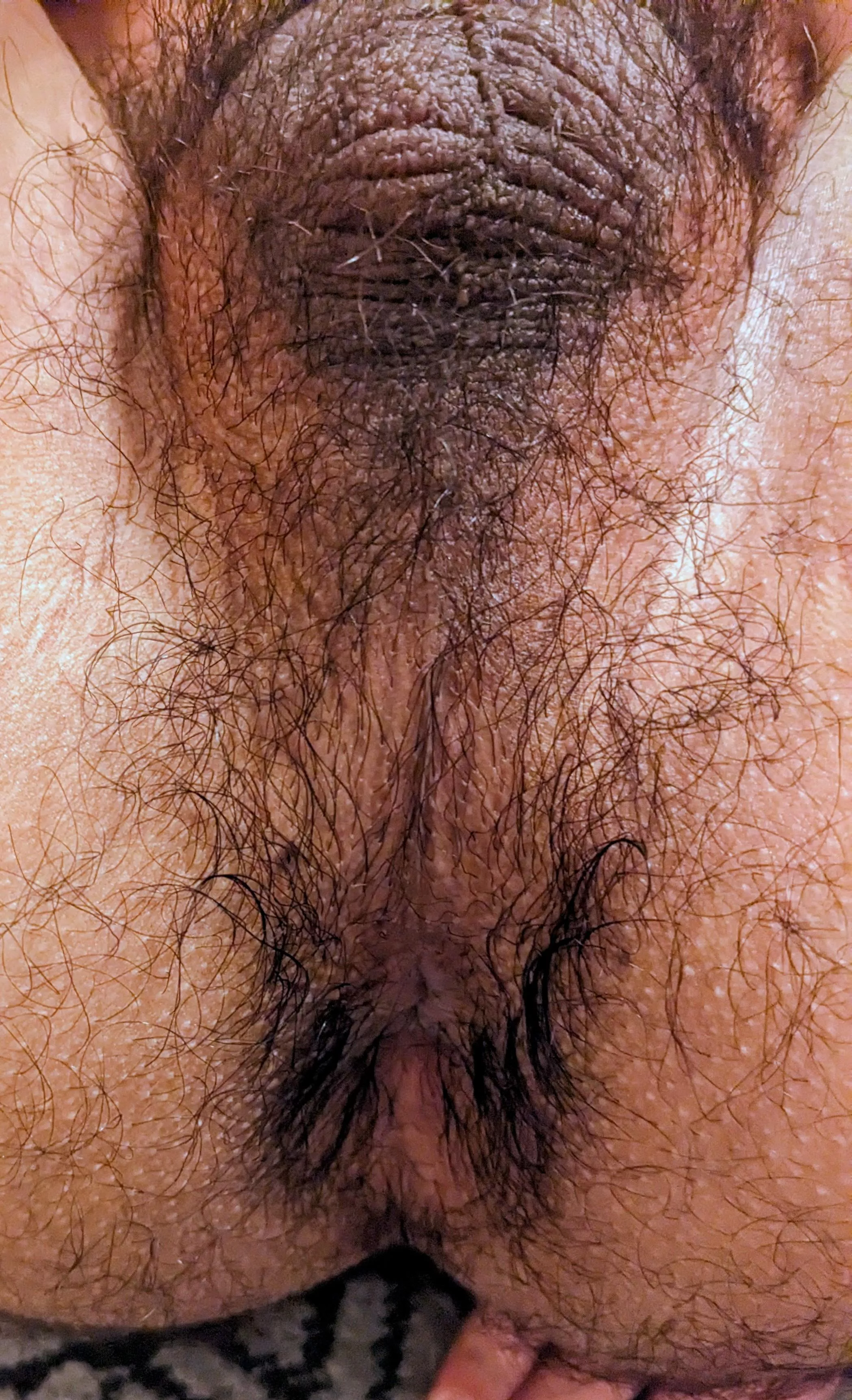 Airing it out after a busy day. Didn't have time to shower. I hope that's okay 🐽