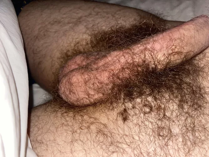 Being this hairy means extra musk