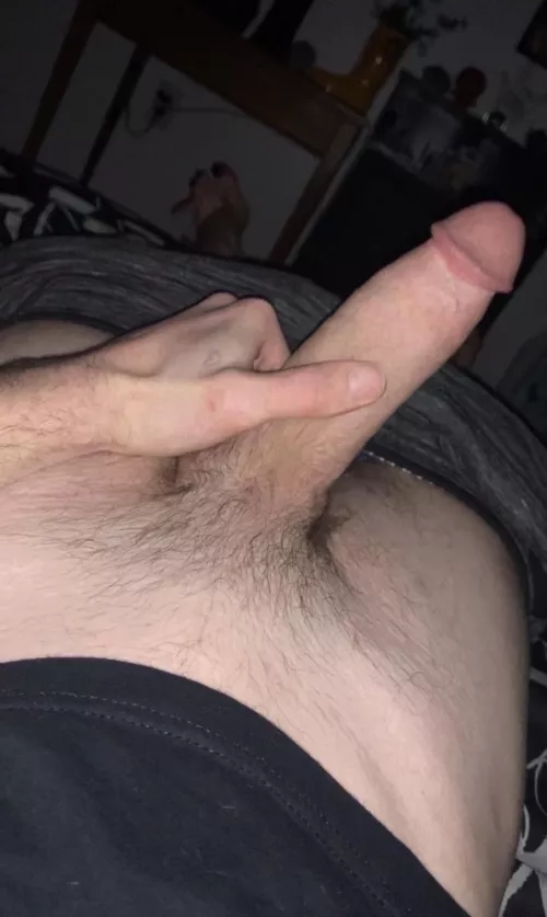 Can I borrow your holes?