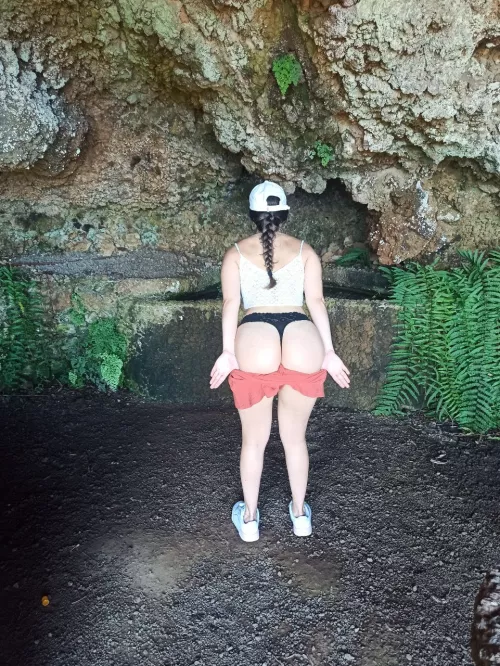 Do you want to walk in the woods with me??