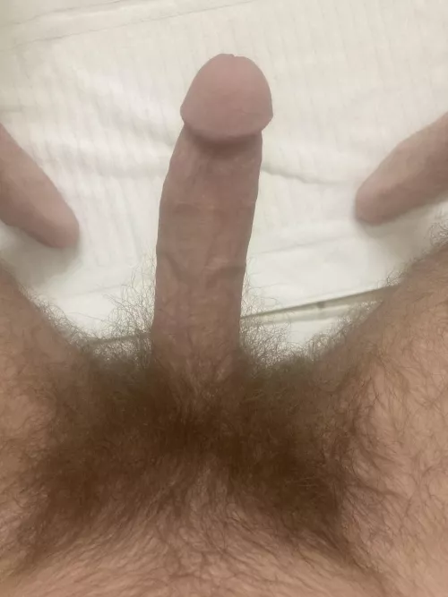 Hairy and horny