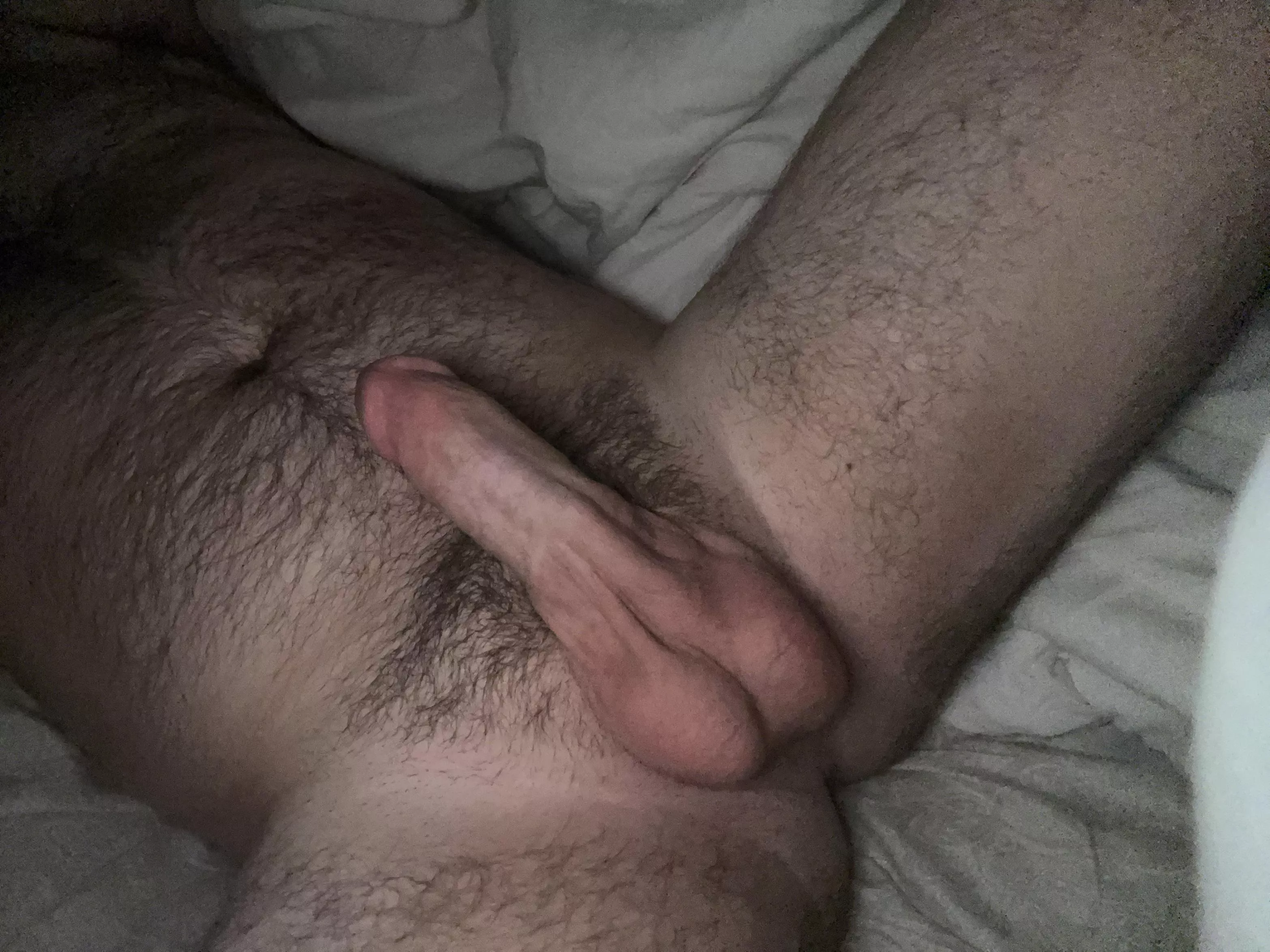 Honest opinions ?