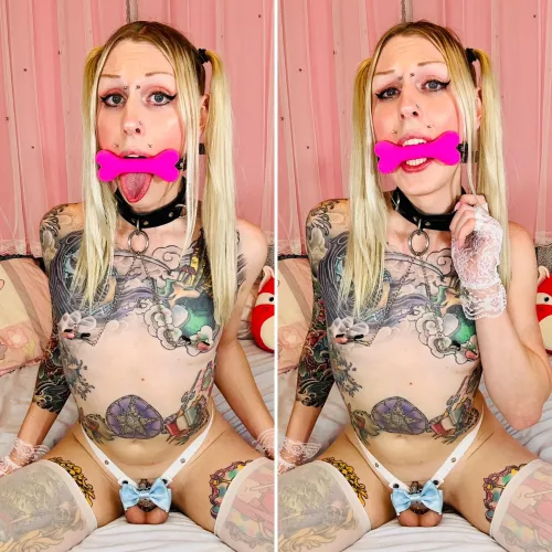 Once someone’s son, now someone’s pet